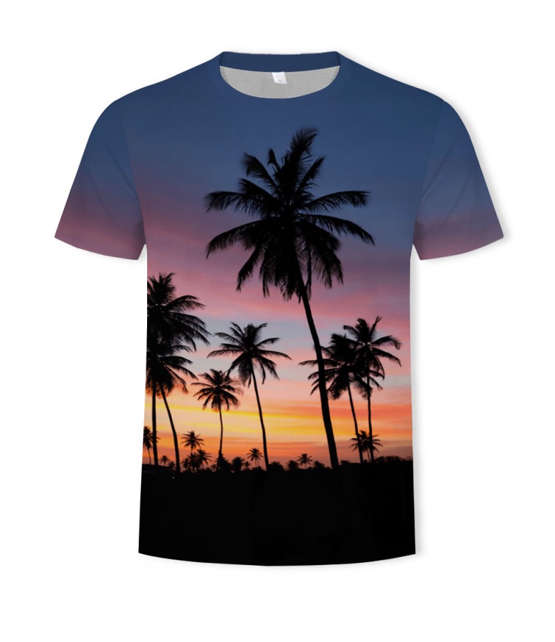 Men Fashion Creative 3d Landscape Photography Printing Round Neck Short Sleeve Loose T-Shirt