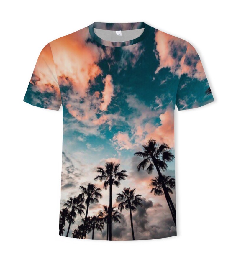 Men Fashion Creative 3d Landscape Photography Printing Round Neck Short Sleeve Loose T-Shirt